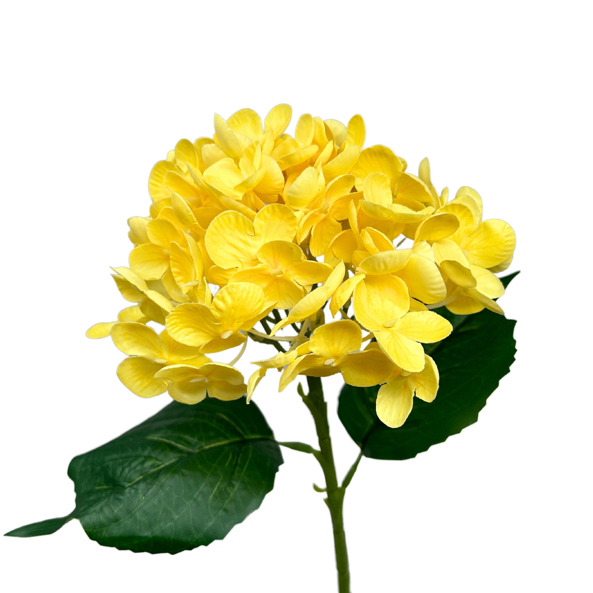 Fresh Touch Hydrangea Spray Yellow 18” YSE David Christopher's