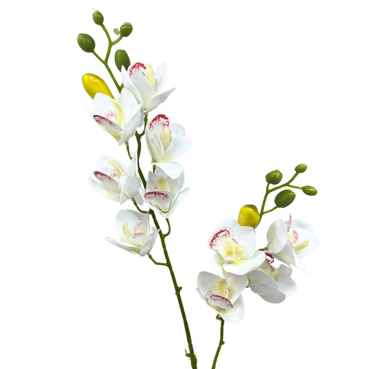 Dendrobium Orchid Spray x 2 - 22.5” - White| YSE