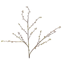 Load image into Gallery viewer, 32&quot; Maison Seeded Branch-Plum | BW
