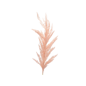 Grande Pampas Grass Stem 53’’ in Pink | XJC22