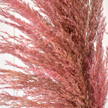 Load image into Gallery viewer, 43&quot; Pampas Branch in Pink | XJE