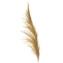 Load image into Gallery viewer, 43&quot; Pampas  Grass Branch in Brown | XJE